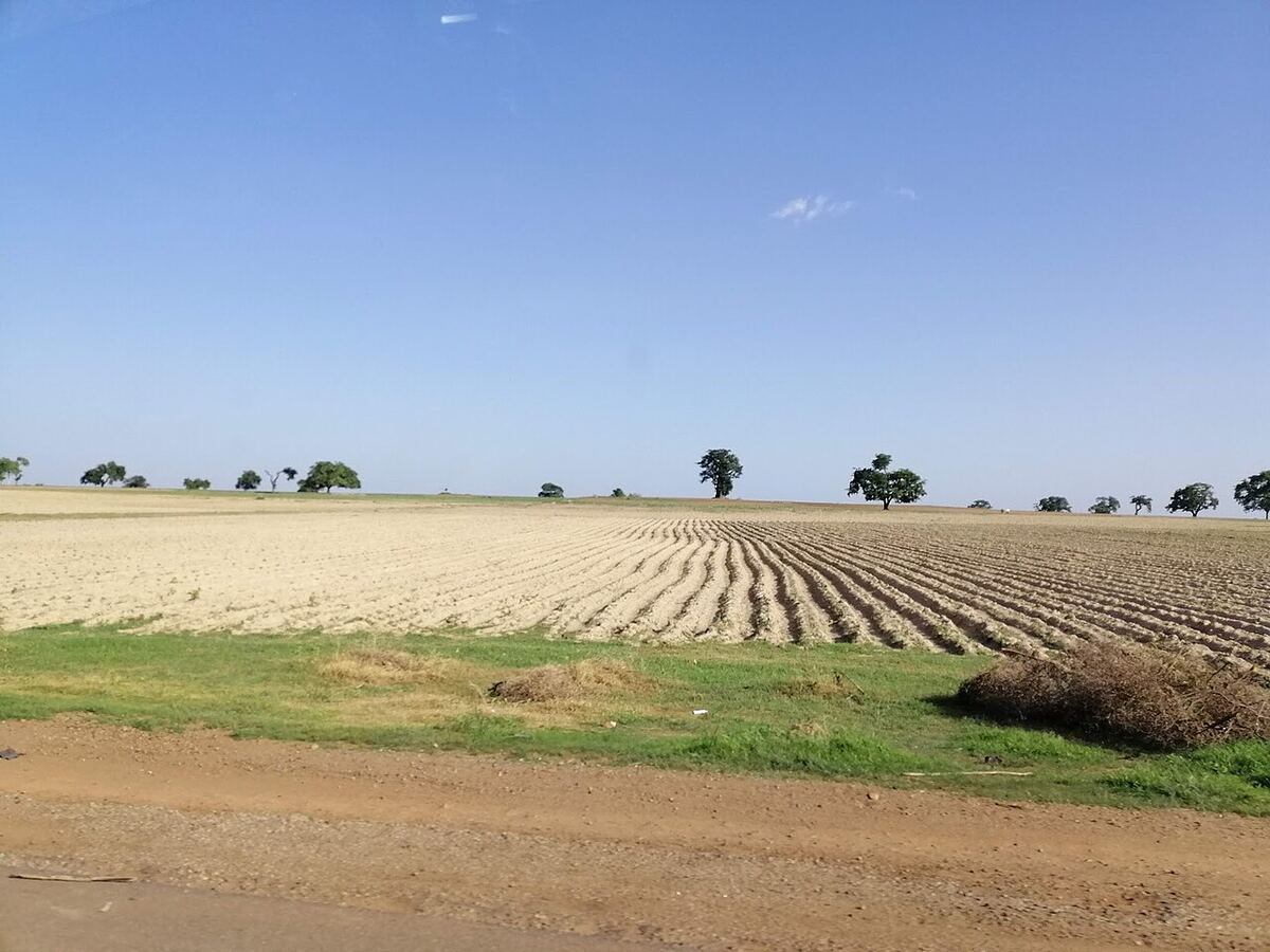 Epe Farmland — 2 Hectares